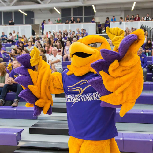 Photo of Midas mascot at Laurier Brantford