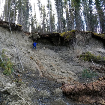 Permafrost thaw