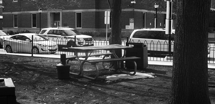 Picnic table in a park