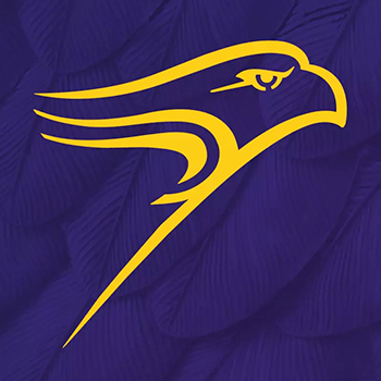 Golden Hawk logo